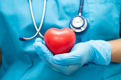 A doctor holding a red heart model, highlighting the importance of heart health.
